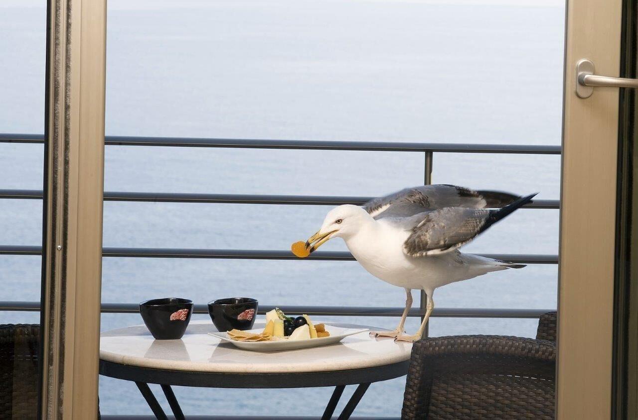 Cinar Hotel Istanbul Exterior photo